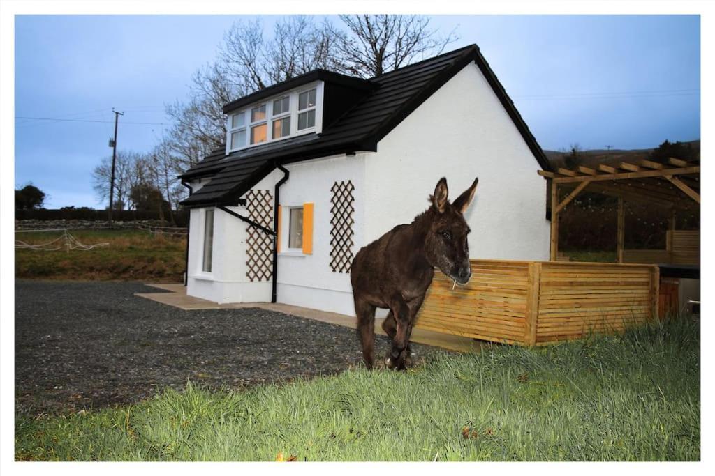 Killeavy Cottage Meigh Exterior photo