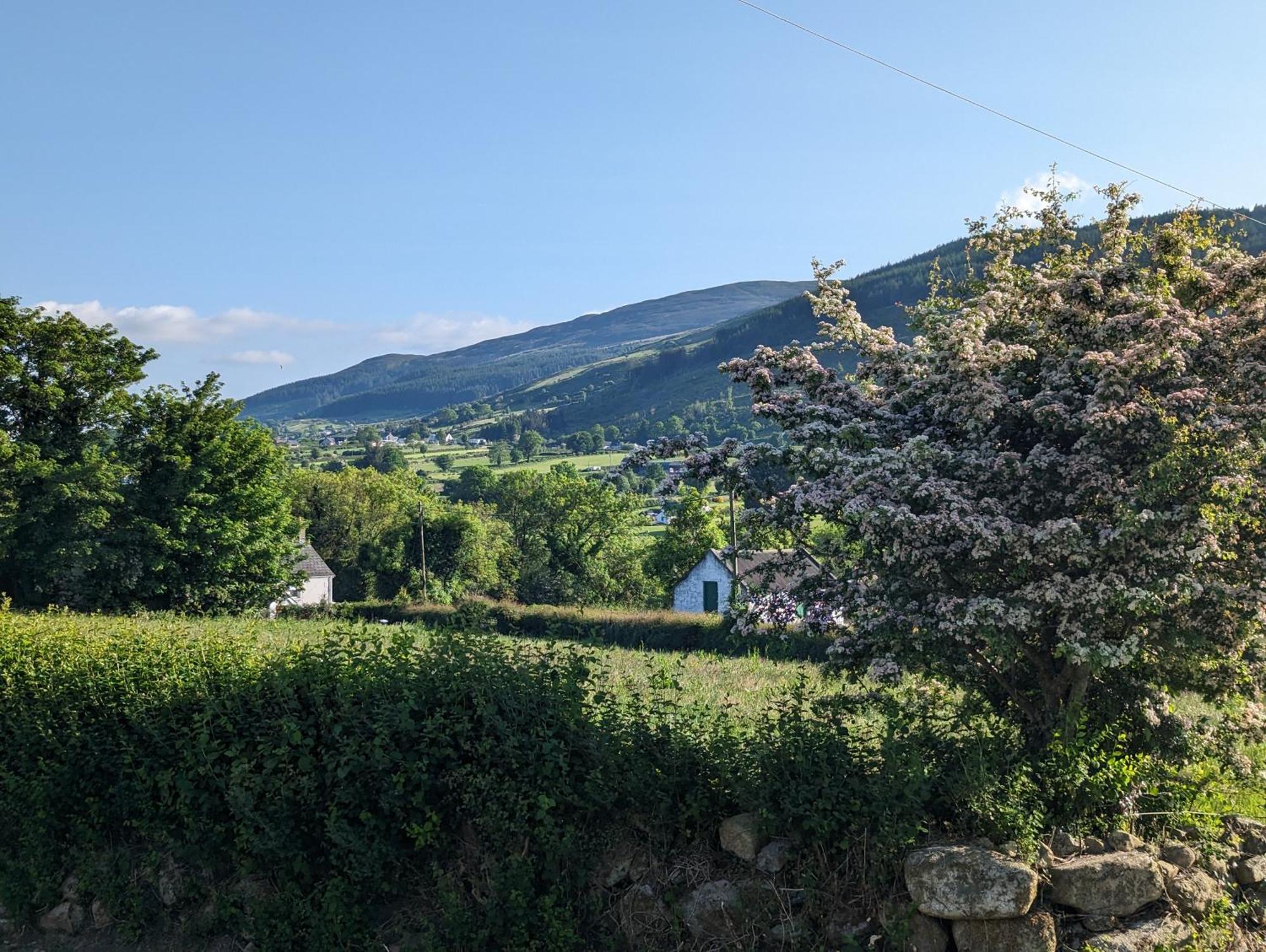 Killeavy Cottage Meigh Exterior photo