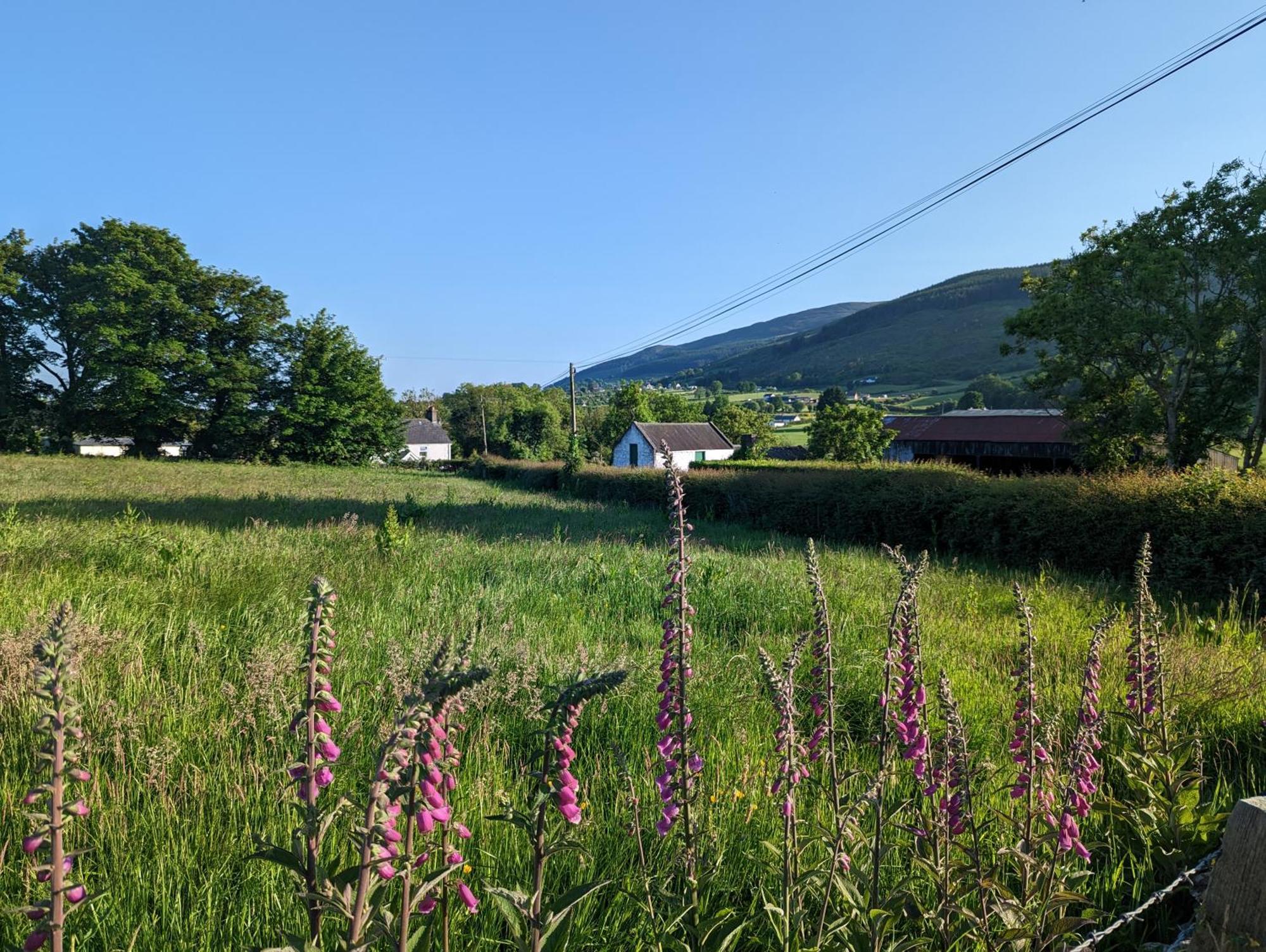 Killeavy Cottage Meigh Exterior photo